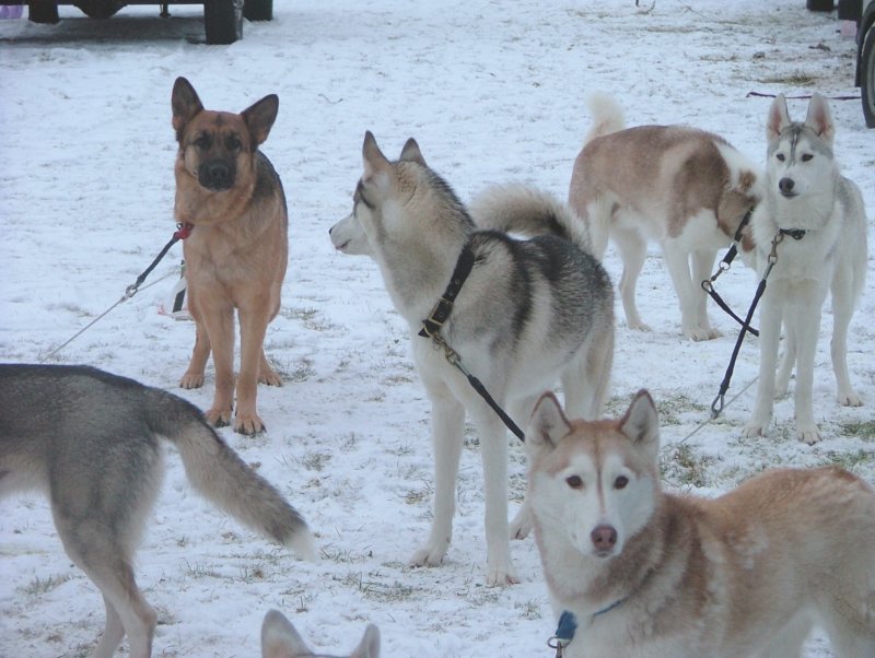 aviemore05.jpg