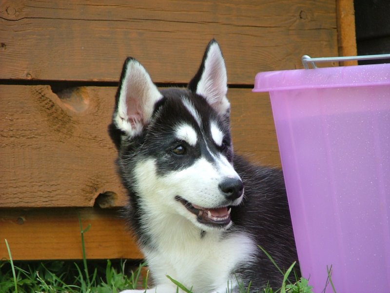 lyschaat3months.jpg