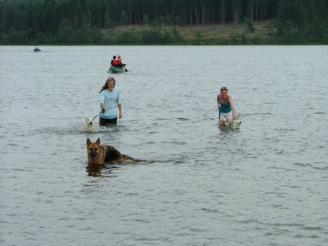 allinforaswimattheendofthedaykinlochard2006.jpg