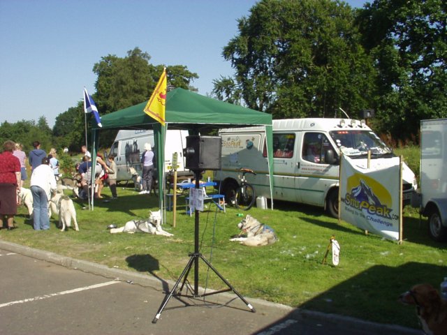 atanncdleventbeforeitbecamethedogstrustbackin2003.jpg