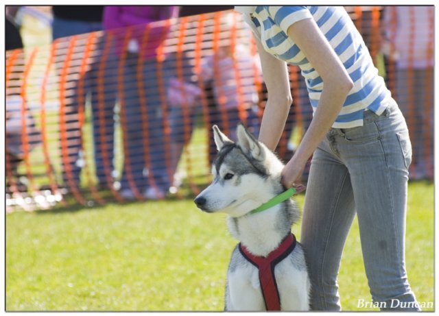 norriswaitingtodohispartinthemainarenadisplayvetschool2006.jpg