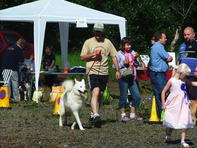 snopeakattemptingtowinbestsixlegsalbynvets2004.jpg