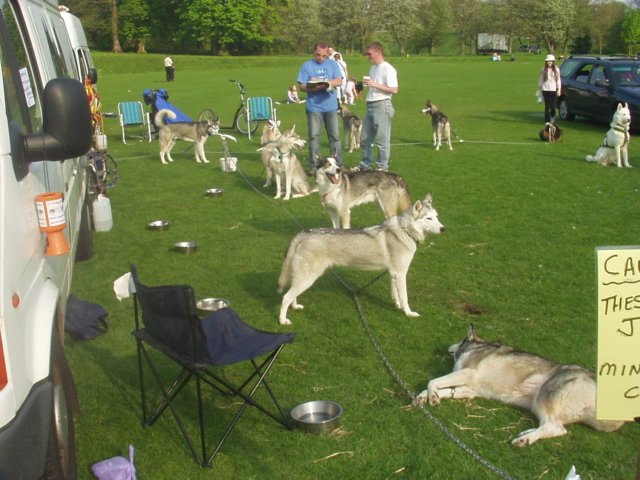 theanuualvetschoolrodeoin2004.jpg