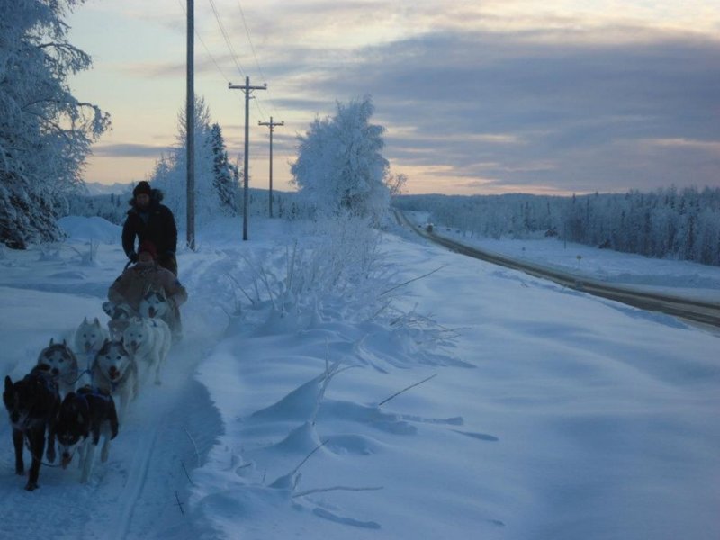 lisaandtcrunningthewonderfulodarolocdogsinalaska.jpg