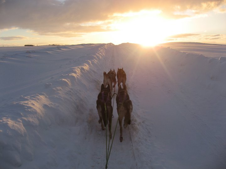 winter2010runningfromhome.jpg