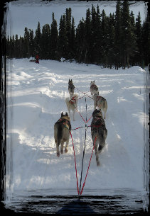 latest_news_site002010.jpg