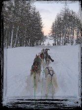latest_news_site002012.jpg