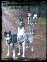 latest_news_site003005.jpg