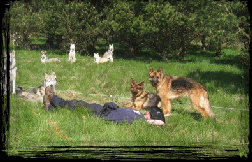 latest_news_site003017.jpg