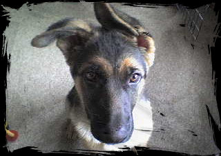 latest_news_site004001.jpg