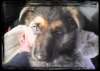 latest_news_site004003.jpg