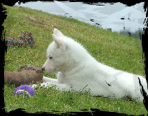 latest_news_site004014.jpg