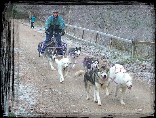 rally_news_site001002.jpg