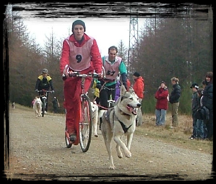 rally_news_site002001.jpg