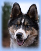 arcticpack_2016002002.jpg