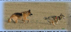 arcticpack_2016017008.jpg